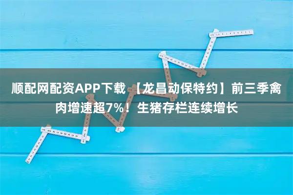 顺配网配资APP下载 【龙昌动保特约】前三季禽肉增速超7%!生猪存栏连续增长